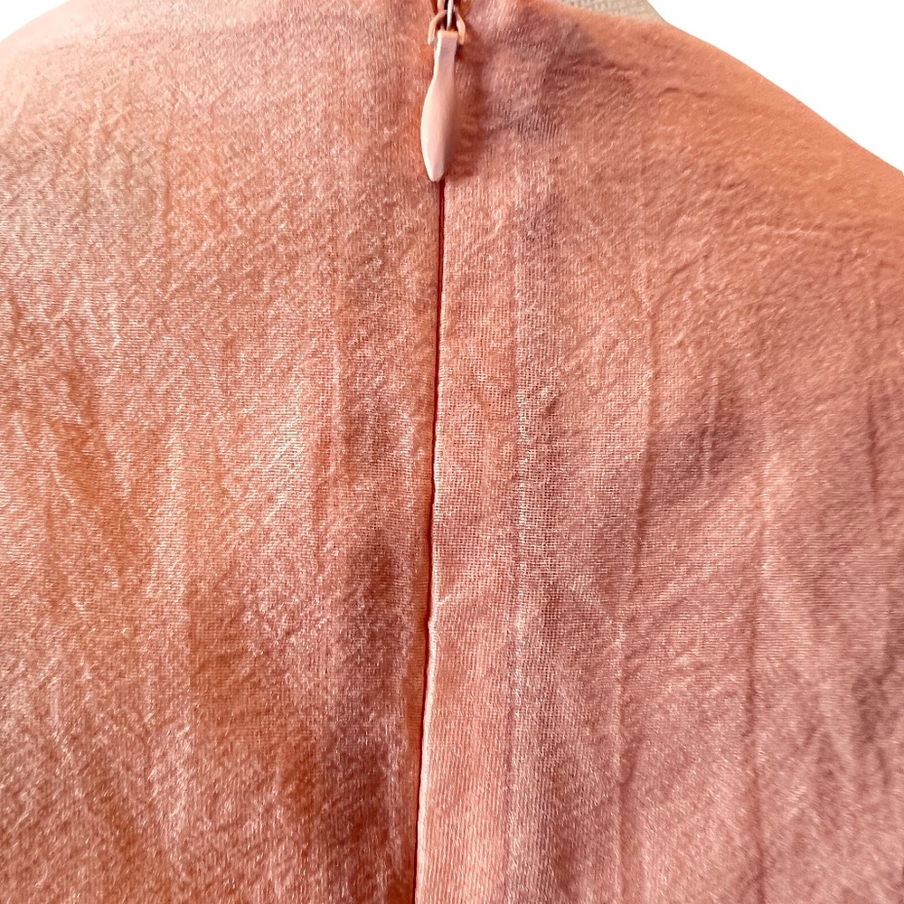 #A091 WHY DRESS Cottagecore Peach Ruffle Puff Sleeve Top Organza NWT L - Picture 7 of 12